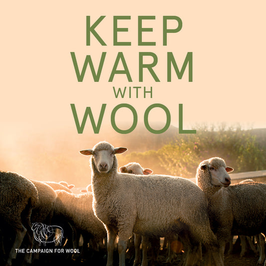 The Campaign for Wool: Cultivating Sustainable Fashion from Fleece to Fabric